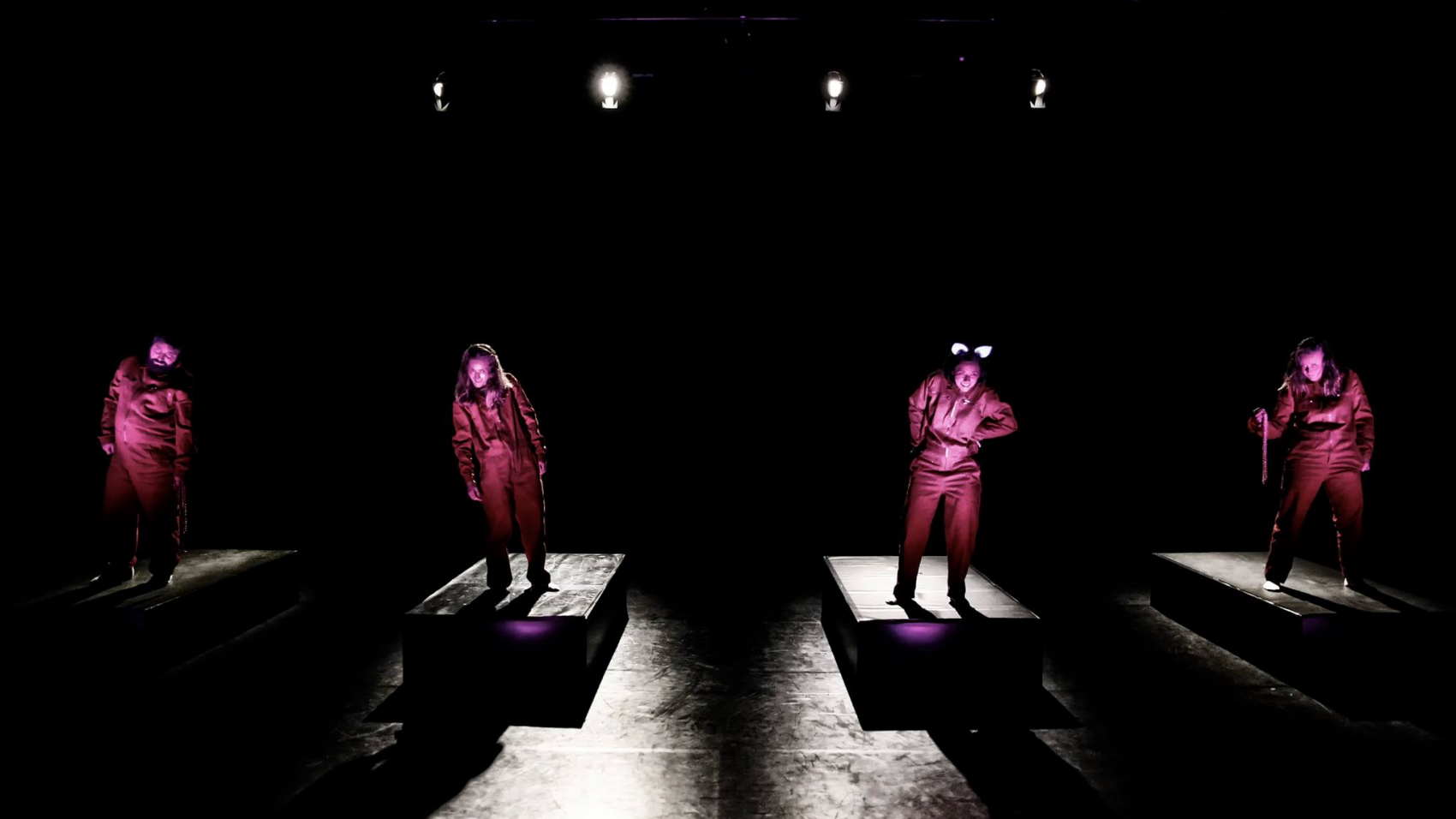 Zaehmung_TimMrosek_ccTim-Mrosek