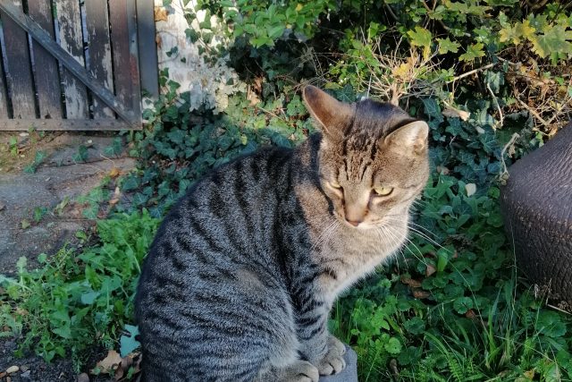 Eingangsbereich Odin