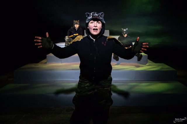 Francos Hermannsschlacht - TAK in Kooperation mit dem nö theater, Foto: Patric Prager